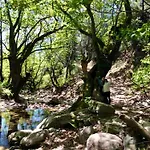 Διαμέρισμα Lotos By Kastro Λιμενάρια