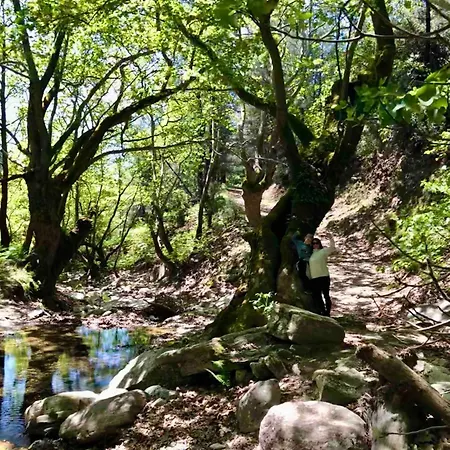 아파트 Lotos By Kastro 리메나리아