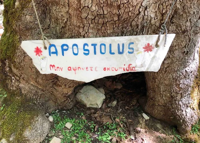 Διαμέρισμα Lotos By Kastro