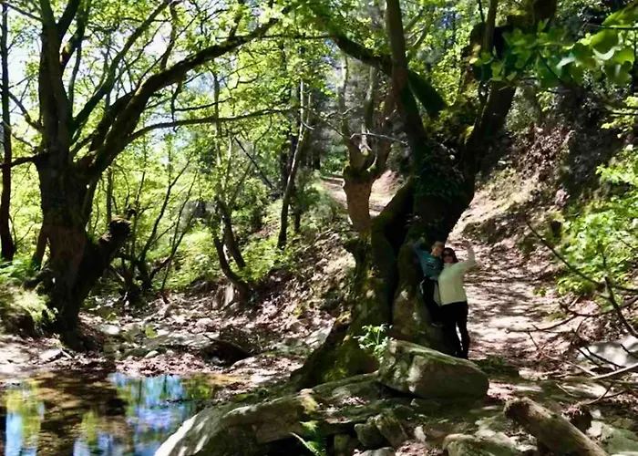 公寓 Lotos By Kastro 利迈纳里亚